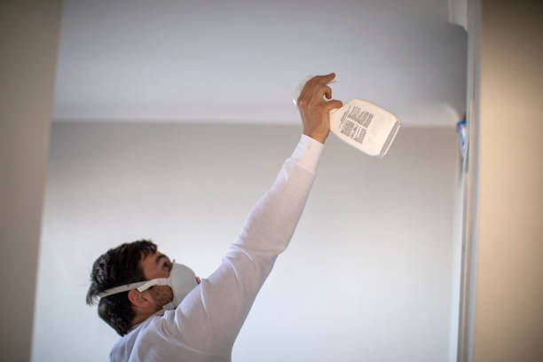 Best Mold Damage Repair  in Scenic Oaks, TX
