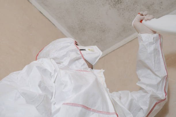 Best Professional Mold Removal  in Scenic Oaks, TX